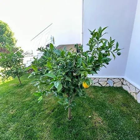 Hana Villa